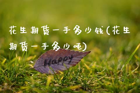花生期货一手多少钱(花生期货一手多少吨)_https://www.gnhpgy.com_恒指期货_第1张