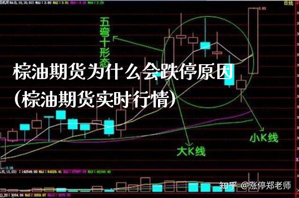 棕油期货为什么会跌停原因(棕油期货实时行情)_https://www.gnhpgy.com_恒指期货_第1张