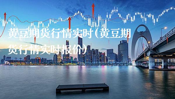 黄豆期货行情实时(黄豆期货行情实时报价)_https://www.gnhpgy.com_股指期货_第1张