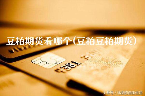 豆粕期货看哪个(豆粕豆粕期货)_https://www.gnhpgy.com_原油期货_第1张