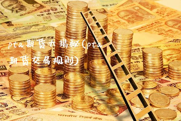 pta期货大揭秘(pta期货交易规则)_https://www.gnhpgy.com_纳指期货_第1张