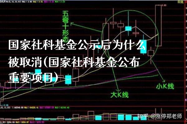 国家社科基金公示后为什么被取消(国家社科基金公布重要项目)_https://www.gnhpgy.com_恒指期货_第1张