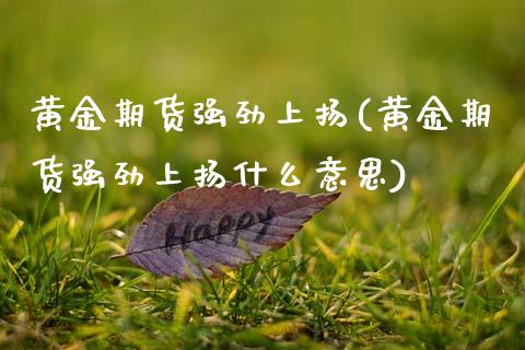 黄金期货强劲上扬(黄金期货强劲上扬什么意思)_https://www.gnhpgy.com_期货知识_第1张