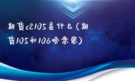 期货c2105是什么(期货105和106啥意思)_https://www.gnhpgy.com_恒指期货_第1张