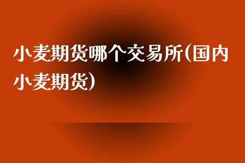 小麦期货哪个交易所(国内小麦期货)_https://www.gnhpgy.com_道指期货_第1张