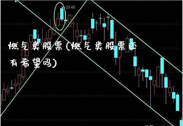 燃气类股票(燃气类股票还有希望吗)_https://www.gnhpgy.com_道指期货_第1张