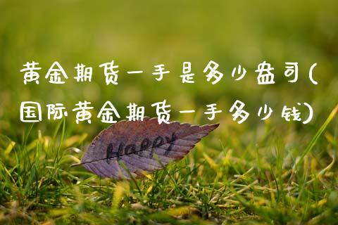 黄金期货一手是多少盎司(国际黄金期货一手多少钱)_https://www.gnhpgy.com_道指期货_第1张