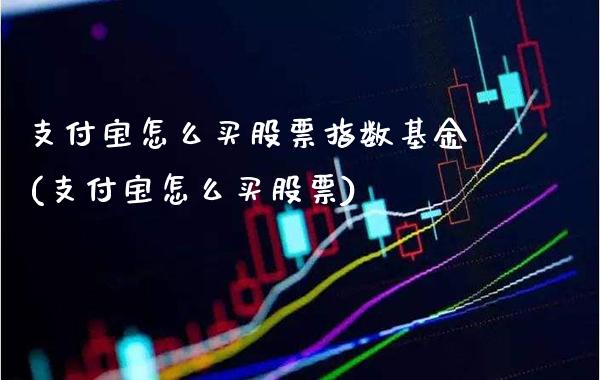 支付宝怎么买股票指数基金(支付宝怎么买股票)_https://www.gnhpgy.com_恒指期货_第1张