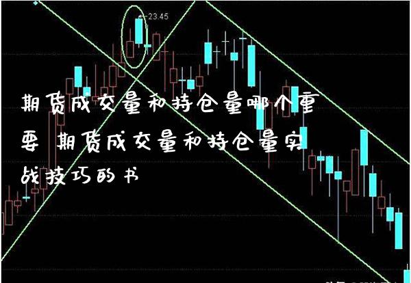 期货成交量和持仓量哪个重要 期货成交量和持仓量实战技巧的书_https://www.gnhpgy.com_期货知识_第1张