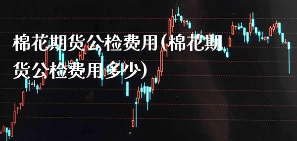 棉花期货公检费用(棉花期货公检费用多少)_https://www.gnhpgy.com_期货知识_第1张