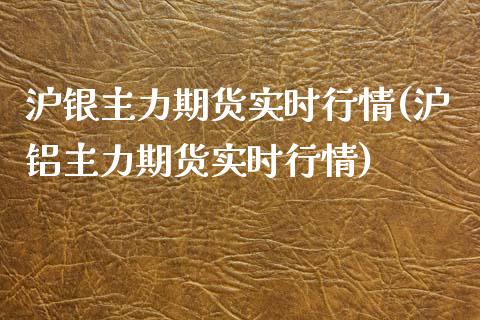 沪银主力期货实时行情(沪铝主力期货实时行情)_https://www.gnhpgy.com_期货知识_第1张