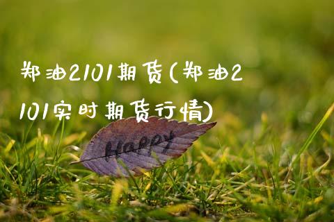 郑油2101期货(郑油2101实时期货行情)_https://www.gnhpgy.com_恒指期货_第1张
