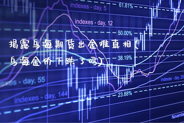 揭露乌海期货出金难(乌海金价下跌了吗)_https://www.gnhpgy.com_恒指期货_第1张