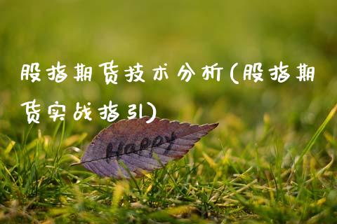 股指期货技术分析(股指期货实战指引)_https://www.gnhpgy.com_股指期货_第1张