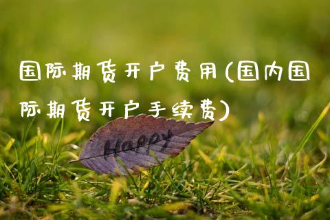 国际期货开户费用(国内国际期货开户手续费)_https://www.gnhpgy.com_期货知识_第1张