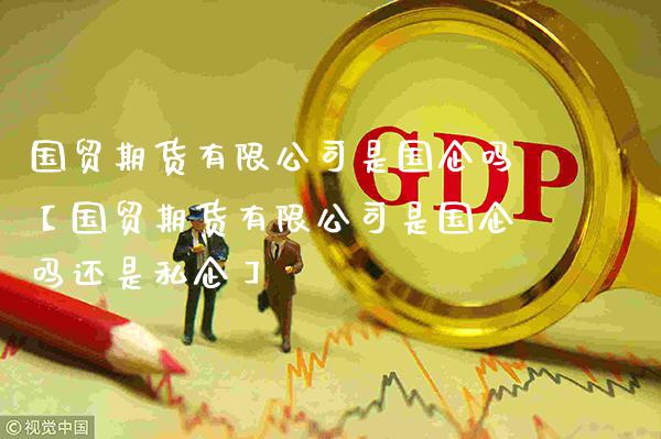 国贸期货有限公司是国企吗【国贸期货有限公司是国企吗还是私企】_https://www.gnhpgy.com_期货知识_第1张