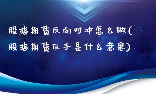 股指期货反向对冲怎么做(股指期货反手是什么意思)_https://www.gnhpgy.com_原油期货_第1张