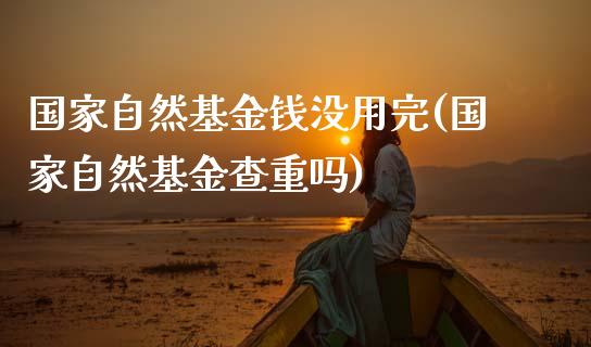 国家自然基金钱没用完(国家自然基金查重吗)_https://www.gnhpgy.com_恒指期货_第1张