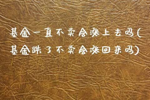 基金一直不卖会涨上去吗(基金跌了不卖会涨回来吗)_https://www.gnhpgy.com_股指期货_第1张