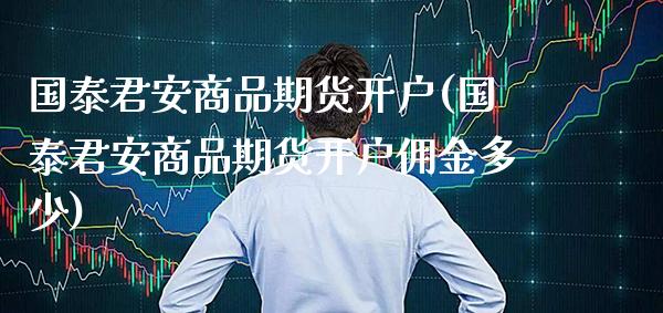 商品期货开户(商品期货开户佣金多少)_https://www.gnhpgy.com_股指期货_第1张