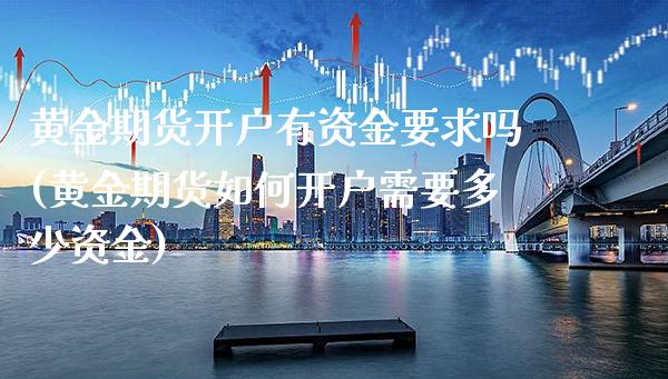 黄金期货开户有资金要求吗(黄金期货如何开户需要多少资金)_https://www.gnhpgy.com_股指期货_第1张