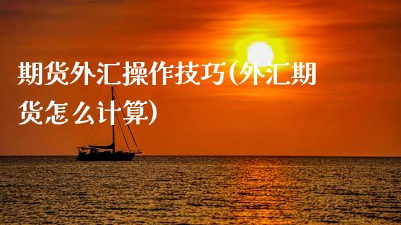 期货外汇操作技巧(外汇期货怎么计算)_https://www.gnhpgy.com_纳指期货_第1张