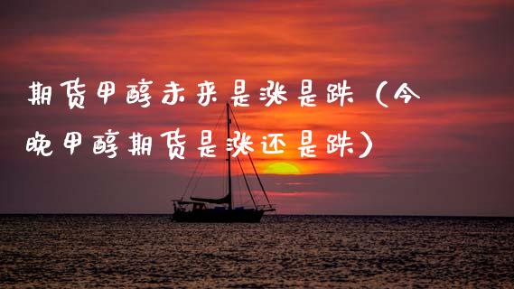 期货甲醇未来是涨是跌（今晚甲醇期货是涨还是跌）_https://www.gnhpgy.com_股指期货_第1张