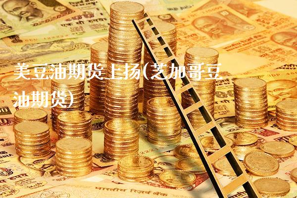 美豆油期货上扬(芝加哥豆油期货)_https://www.gnhpgy.com_恒指期货_第1张