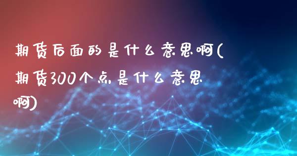 期货后面的是什么意思啊(期货300个点是什么意思啊)_https://www.gnhpgy.com_德指期货_第1张
