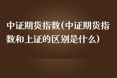 中证期货指数(中证期货指数和上证的区别是什么)_https://www.gnhpgy.com_黄金期货_第1张