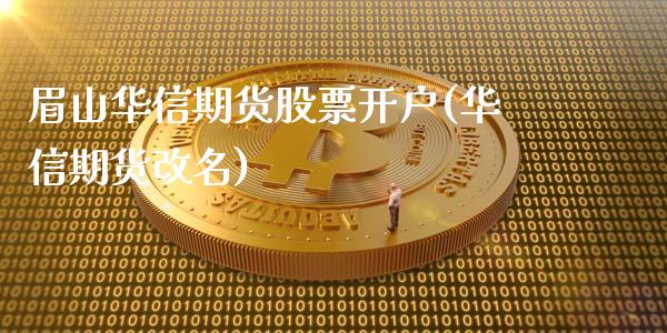 眉山华信期货股票开户(华信期货改名)_https://www.gnhpgy.com_原油期货_第1张