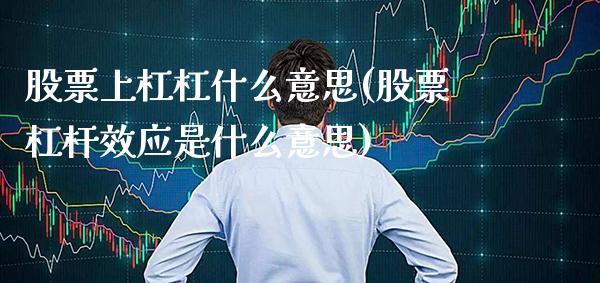 股票上杠杠什么意思(股票杠杆效应是什么意思)_https://www.gnhpgy.com_黄金期货_第1张