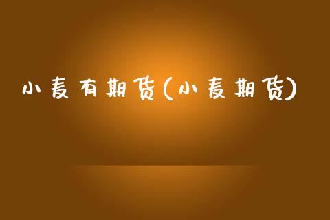 小麦有期货(小麦期货)_https://www.gnhpgy.com_期货百科_第1张