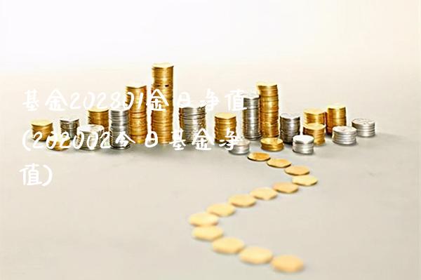 基金202801金日净值(202002今日基金净值)_https://www.gnhpgy.com_纳指期货_第1张
