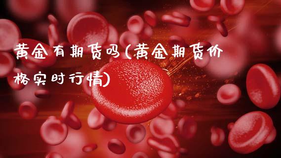 黄金有期货吗(黄金期货价格实时行情)_https://www.gnhpgy.com_恒指期货_第1张