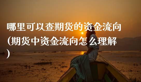 哪里可以查期货的资金流向(期货中资金流向怎么理解)_https://www.gnhpgy.com_德指期货_第1张