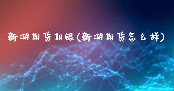 新湖期货期银(新湖期货怎么样)_https://www.gnhpgy.com_期货百科_第1张