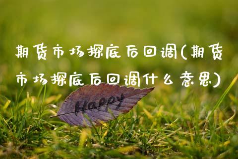 期货市场探底后回调(期货市场探底后回调什么意思)_https://www.gnhpgy.com_恒指期货_第1张