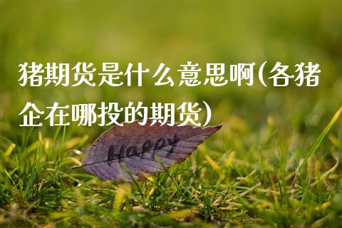 猪期货是什么意思啊(各猪企在哪投的期货)_https://www.gnhpgy.com_股指期货_第1张