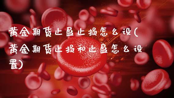黄金期货止盈止损怎么设(黄金期货止损和止盈怎么设置)_https://www.gnhpgy.com_期货百科_第1张