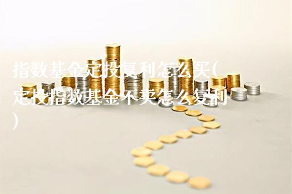 指数基金定投复利怎么买(定投指数基金不卖怎么复利)_https://www.gnhpgy.com_期货百科_第1张