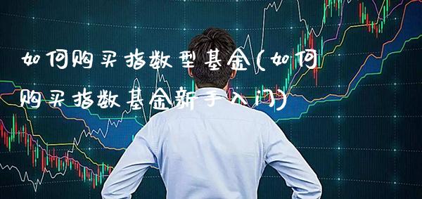 如何购买指数型基金(如何购买指数基金新手入门)_https://www.gnhpgy.com_纳指期货_第1张