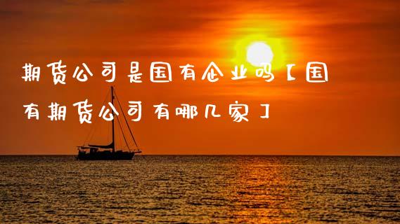 期货公司是国有企业吗【国有期货公司有哪几家】_https://www.gnhpgy.com_道指期货_第1张
