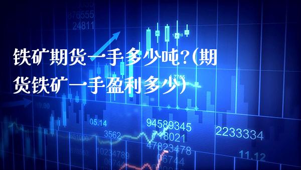 铁矿期货一手多少吨?(期货铁矿一手盈利多少)_https://www.gnhpgy.com_原油期货_第1张