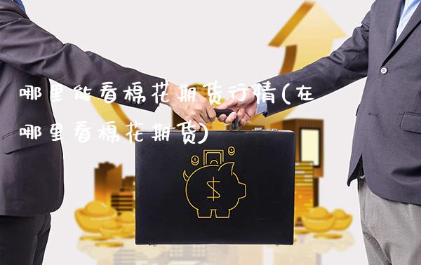哪里能看棉花期货行情(在哪里看棉花期货)_https://www.gnhpgy.com_黄金期货_第1张