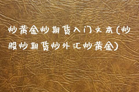 炒黄金炒期货入门文本(炒股炒期货炒外汇炒黄金)_https://www.gnhpgy.com_纳指期货_第1张
