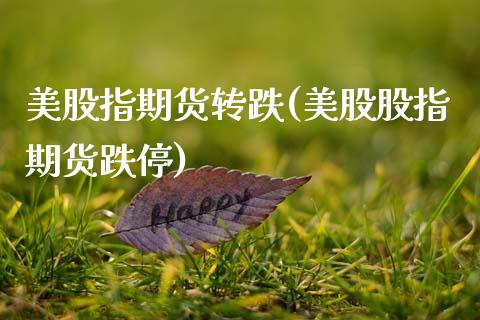 美股指期货转跌(美股股指期货跌停)_https://www.gnhpgy.com_德指期货_第1张