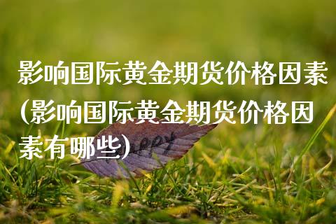 影响国际黄金期货价格因素(影响国际黄金期货价格因素有哪些)_https://www.gnhpgy.com_德指期货_第1张