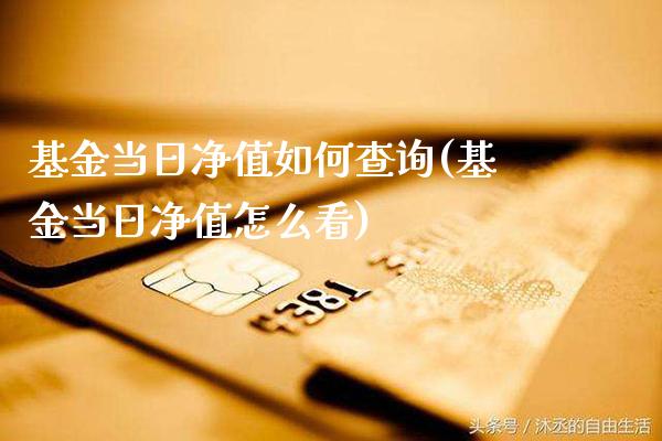 基金当日净值如何查询(基金当日净值怎么看)_https://www.gnhpgy.com_道指期货_第1张