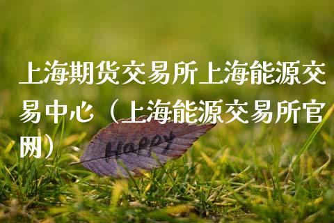 上海期货交易所上海能源交易中心（上海能源交易所）_https://www.gnhpgy.com_德指期货_第1张